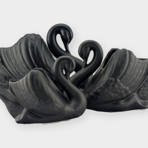 Three black swans, small medium and large.