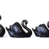 Set of four large, medium and small black swans