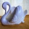 Blue Swan