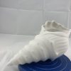 Brussels Vase - A Conch Shell