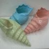 Brussels Vase - A Conch Shell