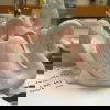 Pink Crown Lynn Swans