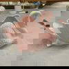 Pink swan