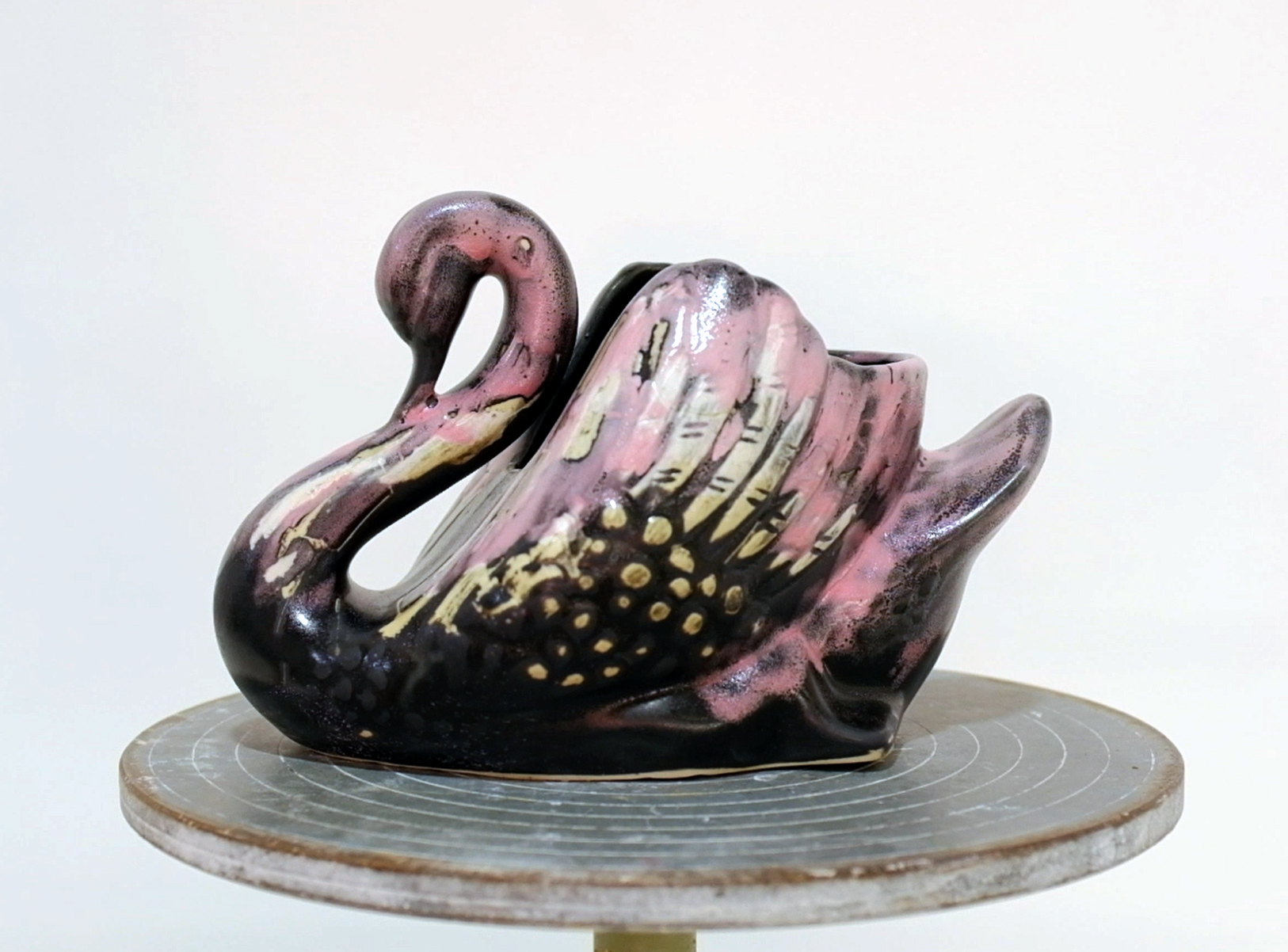 Brussels Vase - A Conch Shell